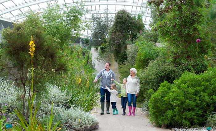 Family exploring the Great Glasshouse
